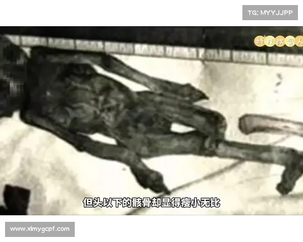 古代神秘生物全解析:穿越历史的奇异存在与未解之谜探索 古代神秘生物全解析:穿越历史的奇异存在与未解之谜探索